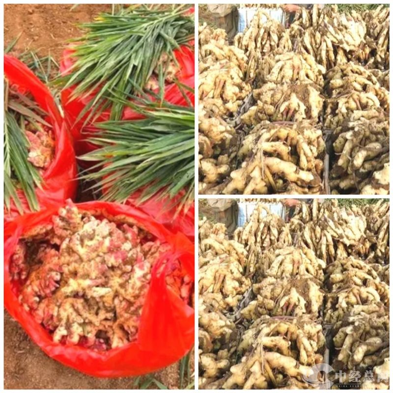 1724402235698945.jpg 微信图片_20240823162107_副本.jpg