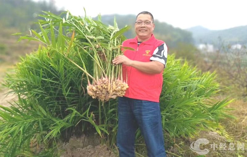 1724402361535197.jpg 微信图片_20240823162121_副本.jpg