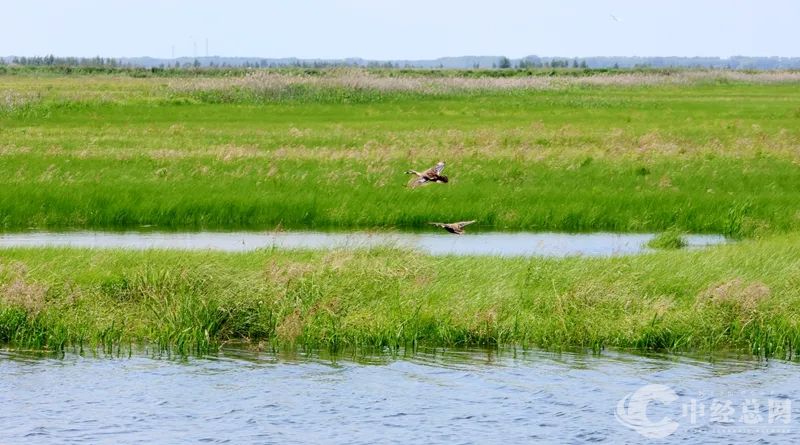 1724548248673771.jpg 03_副本.jpg