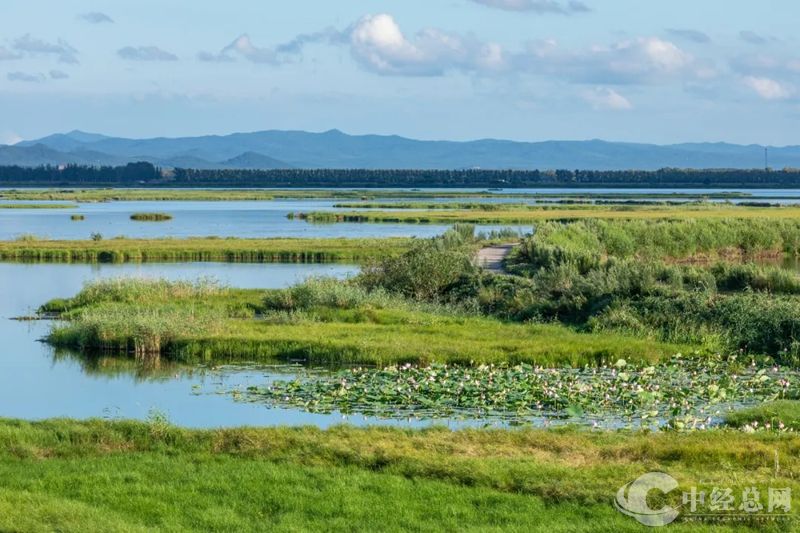 1724548296171545.jpg 04_副本.jpg