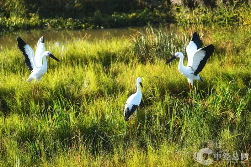 1724548658643256.jpg 07_副本.jpg