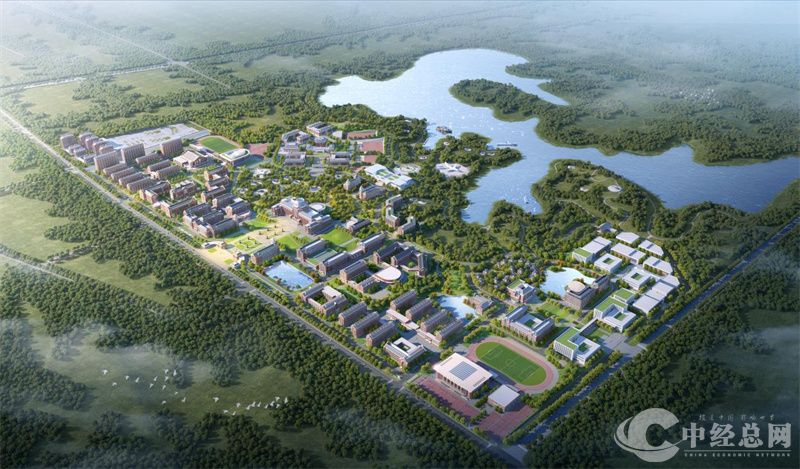 1724992273422017.jpg 1.jpg