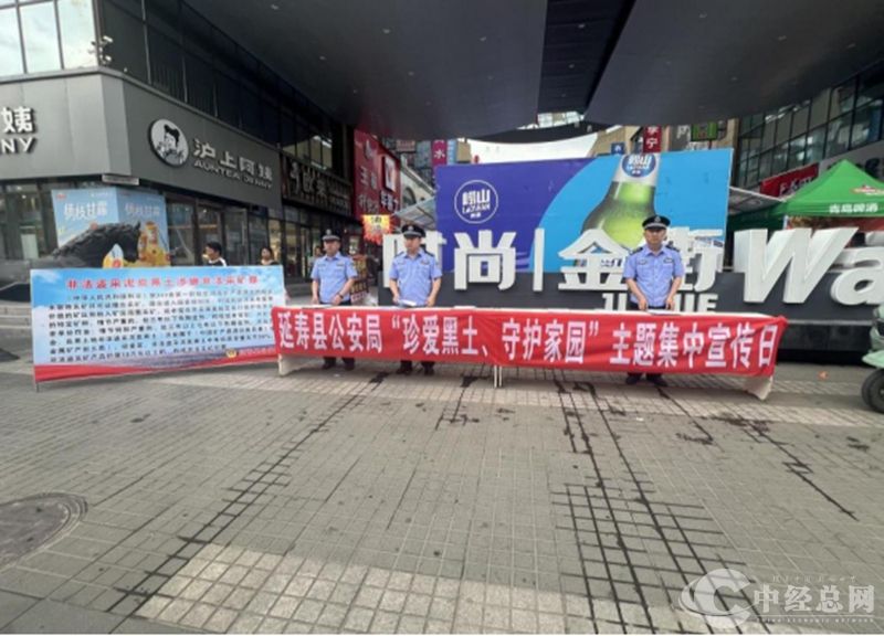 1725181189606812.jpg 03_副本.jpg