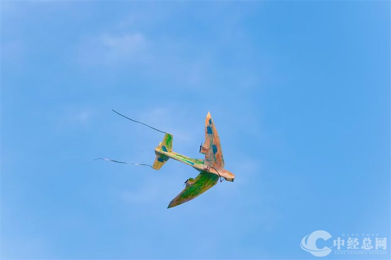 1725196886667043.jpg 18.jpg