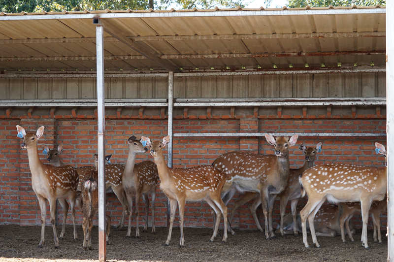 1725254185550086.jpg 图片10.jpg