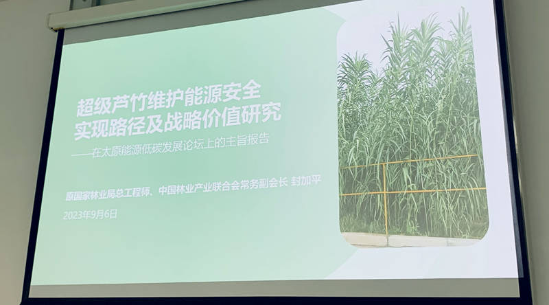 1725866651791145.jpg 05ec0c536f088fe53b6b19c98284b28.jpg