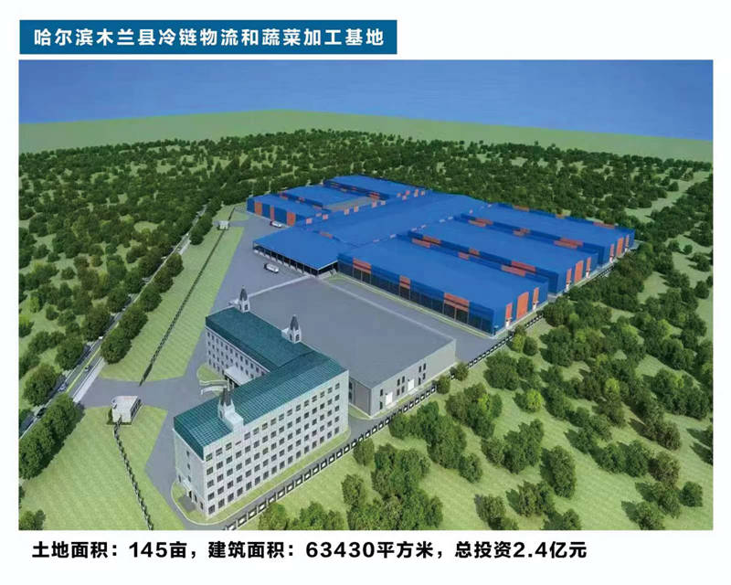 1725887932435776.jpg 01.jpg