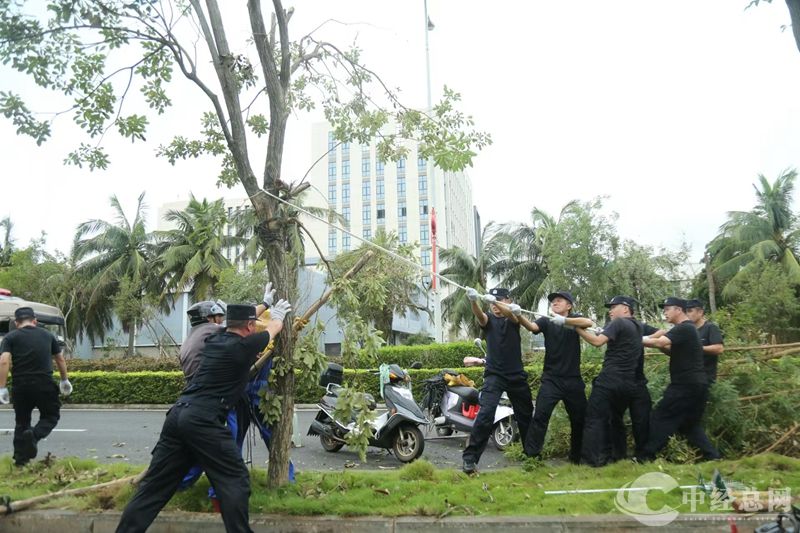 1726060317602810.jpg 微信图片_20240911205541_副本.jpg