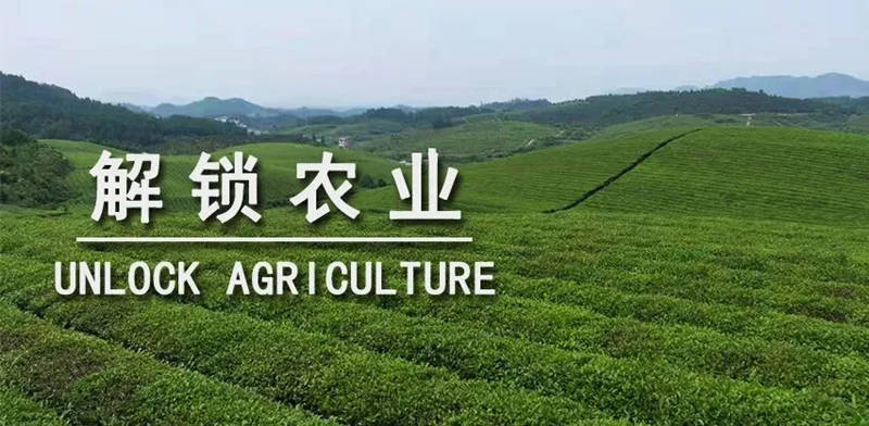 1726060336664121.jpg 1_副本.jpg