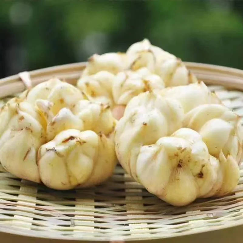 1726060475150237.jpg 5_副本.jpg