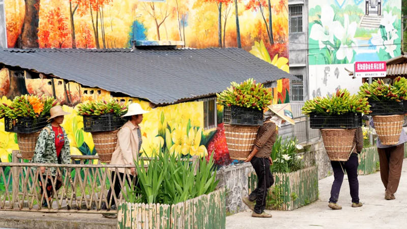 1726060545615579.jpg 8_副本.jpg