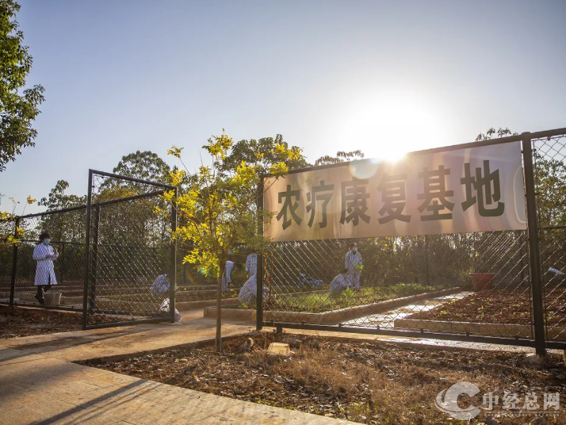 1727437649956652.png C1376B7C-8CBA-4ADC-A11C-B071373345DD.png