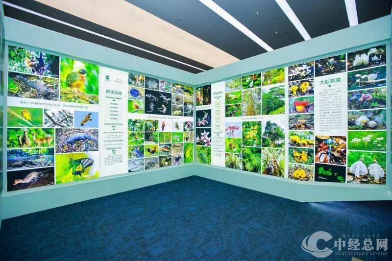 1727697944628578.jpg WechatIMG64.jpg