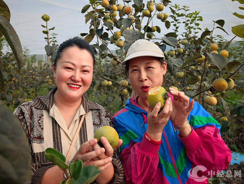 1728307659985794.jpg 1.jpg