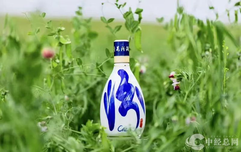 1728648793883544.jpg 图片16.jpg