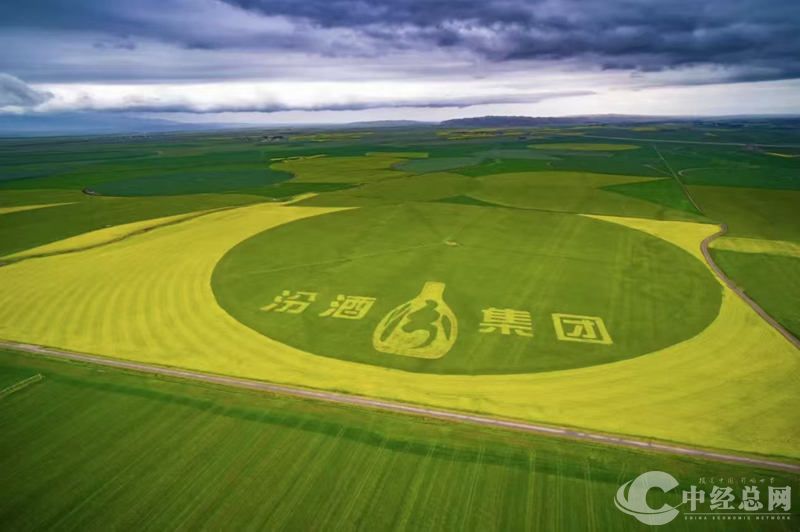 1728648823267805.jpg 图片17.jpg