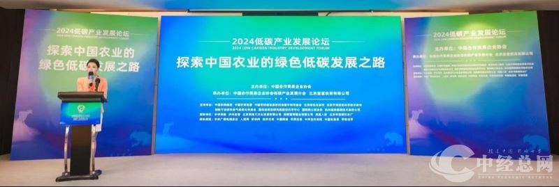 1730091889627363.jpg 图片3-3.jpg