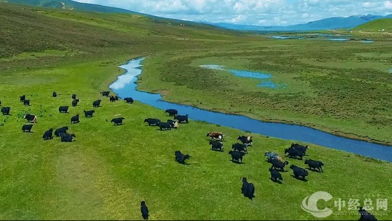 1730437974976915.jpg 7_副本.jpg