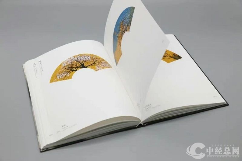 1730812353518531.jpg 微信图片_20241105204530.jpg