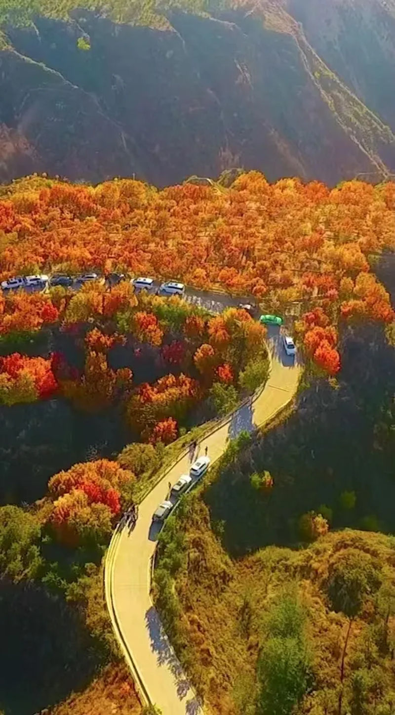 1730903949267676.jpg 2_副本.jpg