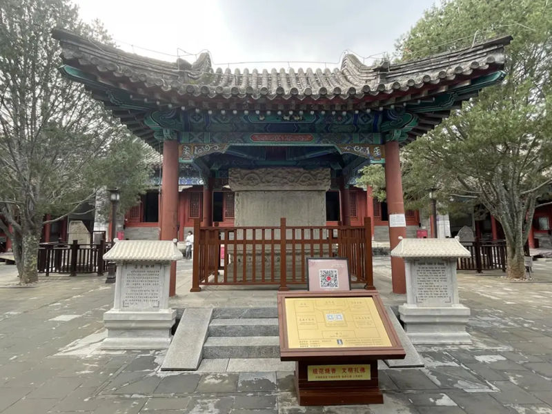 1730992324804513.jpg 11_副本.jpg