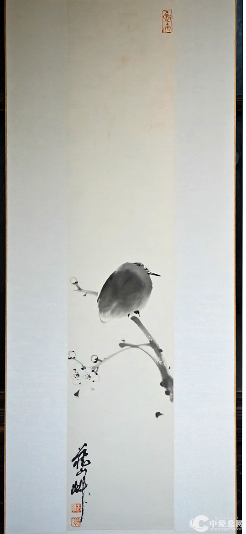 1731071795412886.jpg 7.jpg