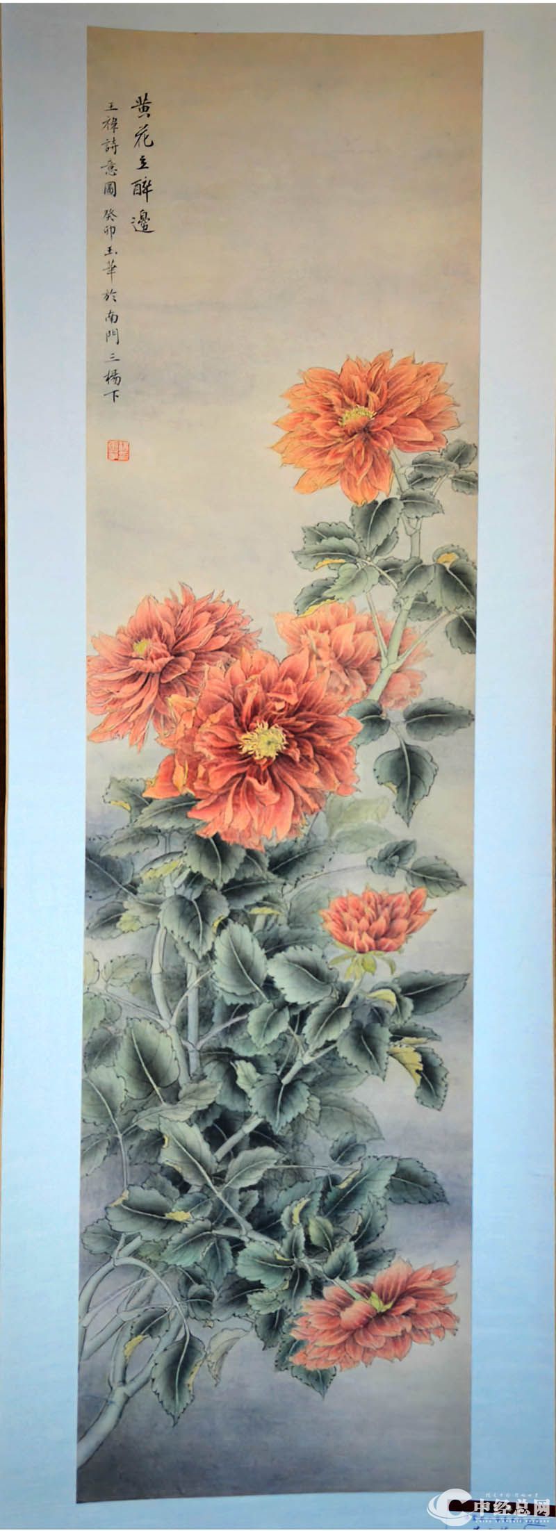 1731071903260572.jpg 11.jpg