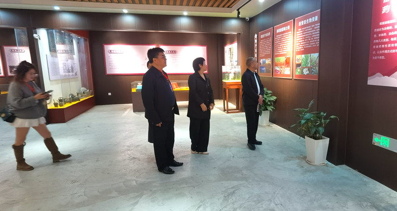 1731128607467018.jpg 8f28ebc930607b85ce6165337159f2d.jpg