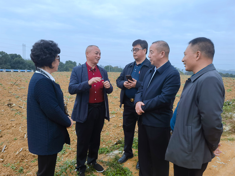 1731242436120542.jpg 1.jpg