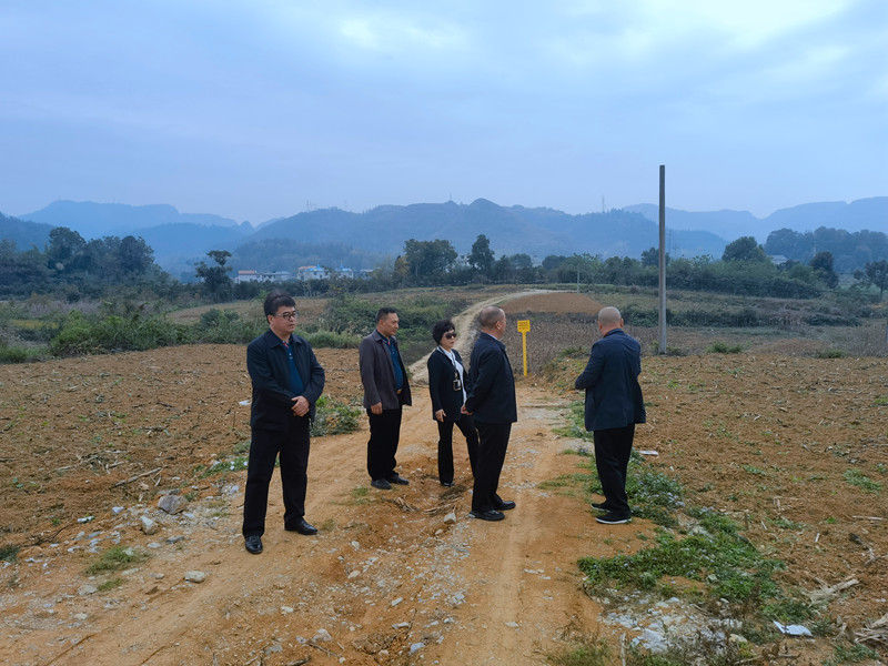 1731242447142572.jpg 2.jpg