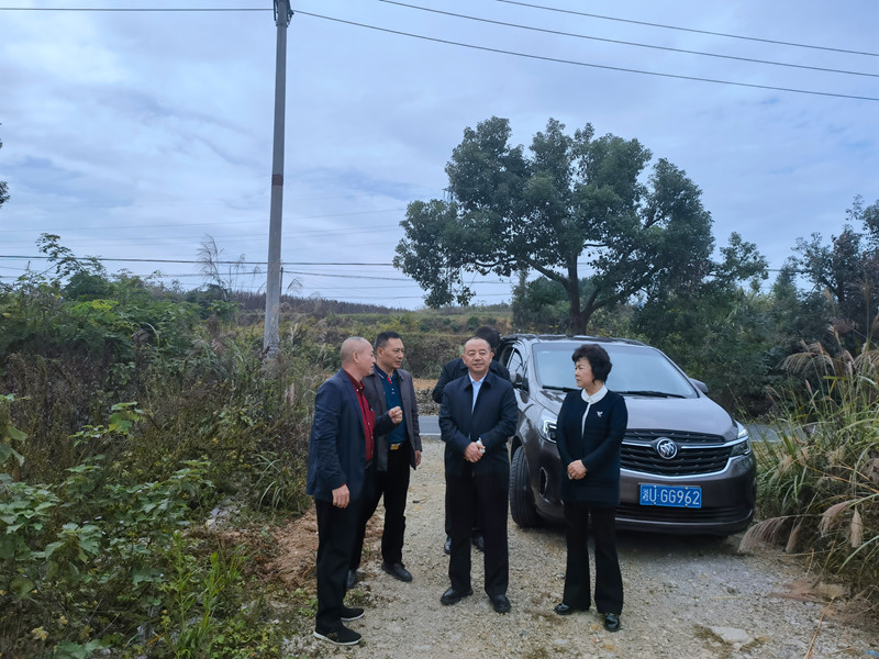 1731242489636923.jpg 6.jpg