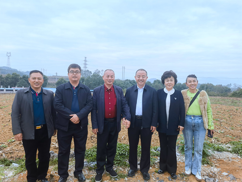 1731242498541864.jpg 7.jpg