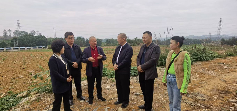 1731242562976854.jpg 13.jpg