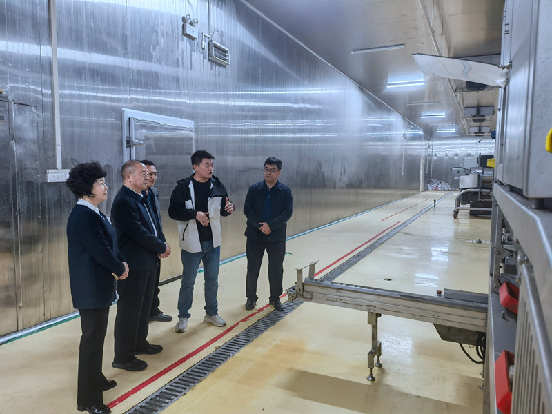 1731245021194770.jpg 2.jpg