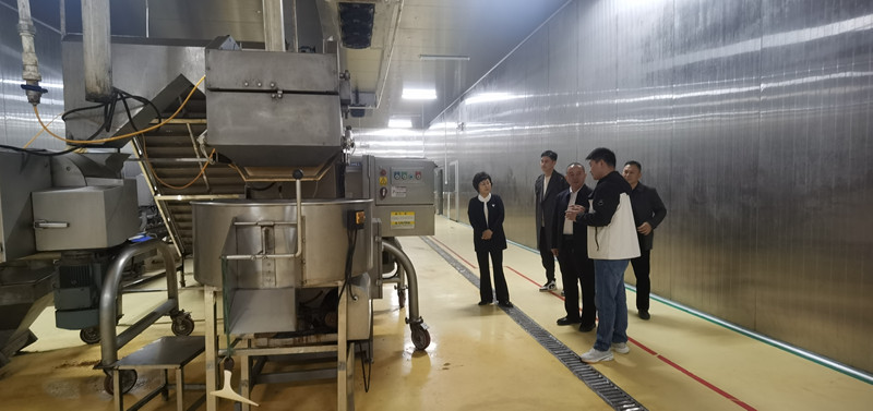 1731245046993537.jpg 5.jpg