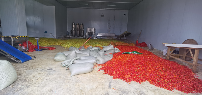 1731245055797028.jpg 6.jpg