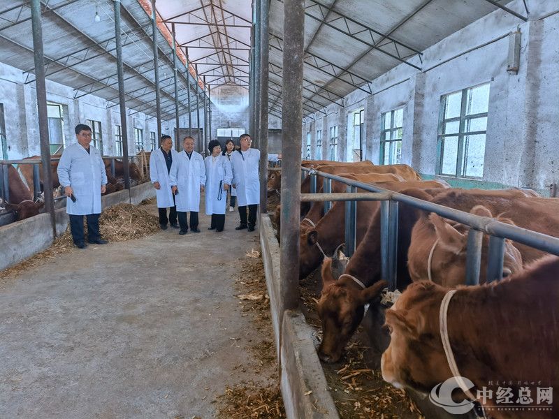 1731247007781085.jpg 1.jpg