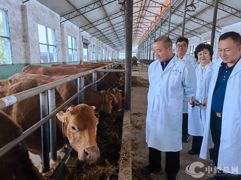 1731247022697754.jpg 3.jpg