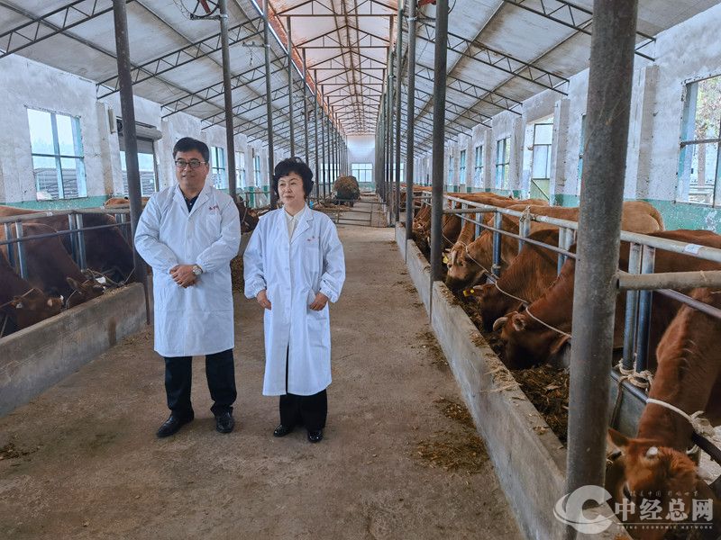 1731247031561019.jpg 4.jpg