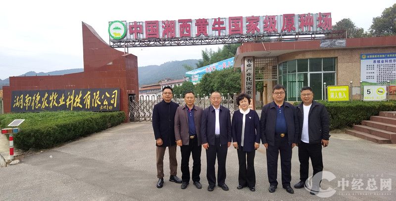 1731247048398508.jpg 6.jpg