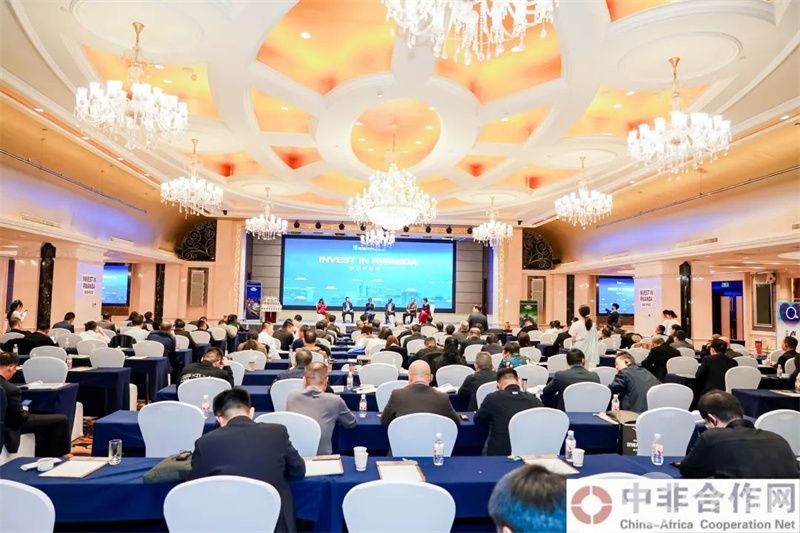 1731400045349748.jpg 6.jpg