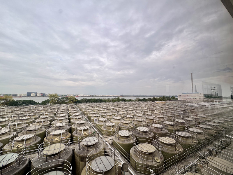 1731547395769504.jpg 14.jpg