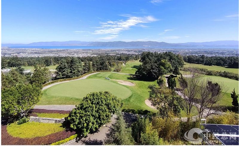 1731733095697567.jpg 06_副本.jpg