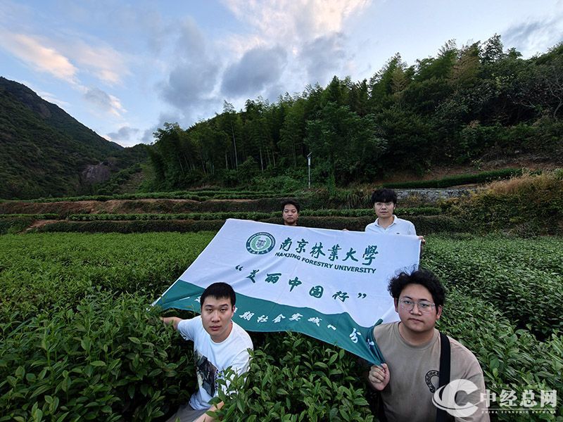 1731766958691345.jpg 8.jpg