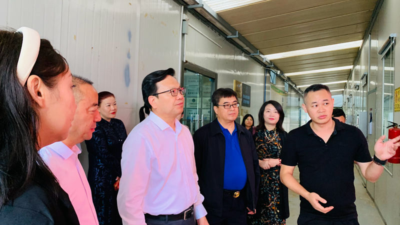 1731995234279982.jpg AURE7300.JPG