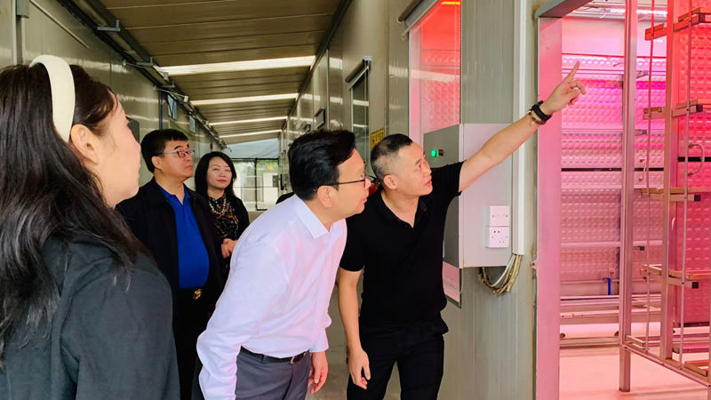 1731995246649979.jpg FPLO6401.JPG