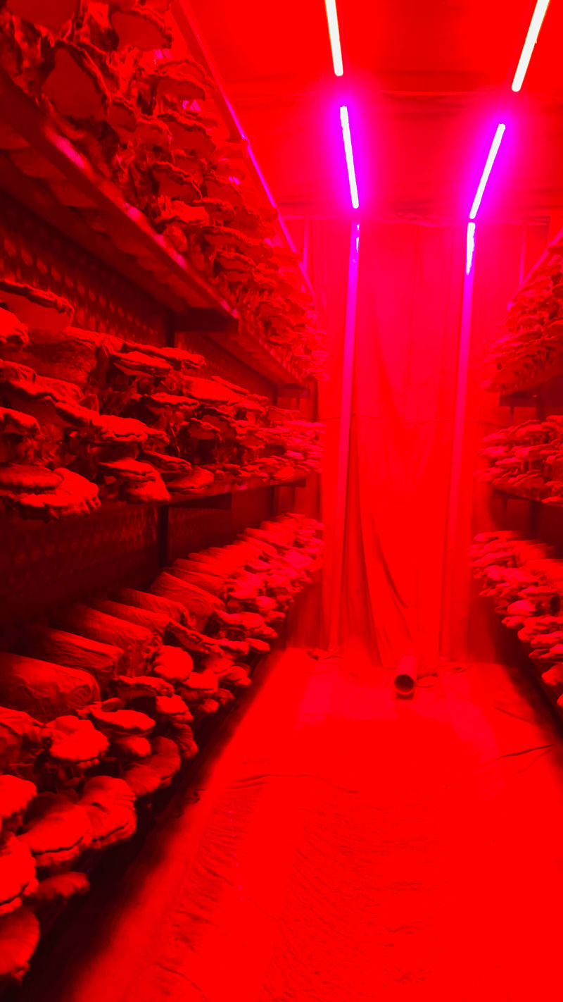 1731995261927087.jpg FGYK7848.JPG