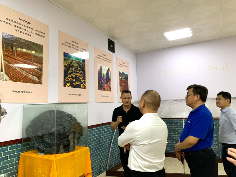 1731995305507874.jpg IMG_0312.JPG