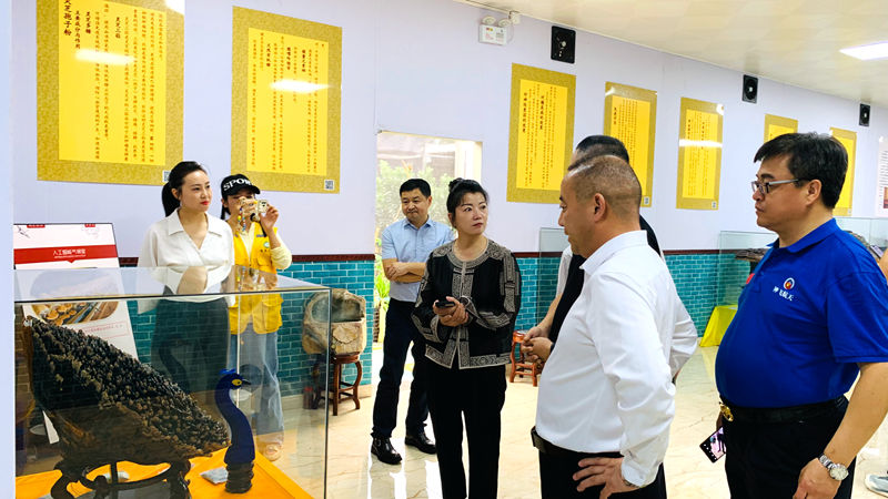 1731995322289225.jpg IMG_E0320.JPG