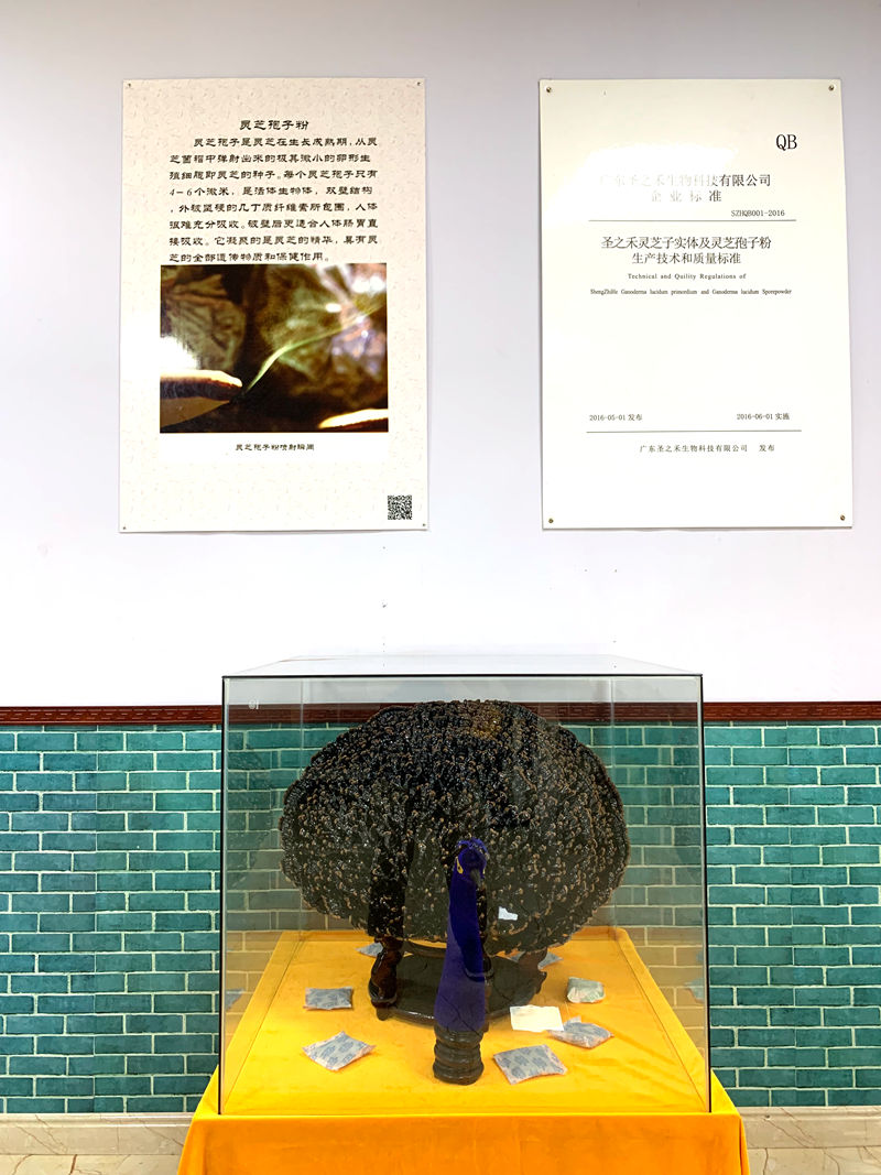 1731995360397737.jpg IMG_0329.JPG